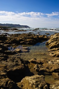 istock_Mal_Pais Tidal pool at Mal Pais